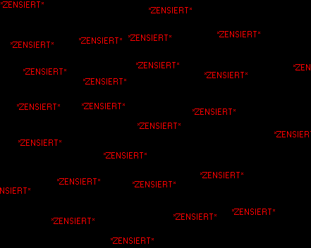 zensiert.gif