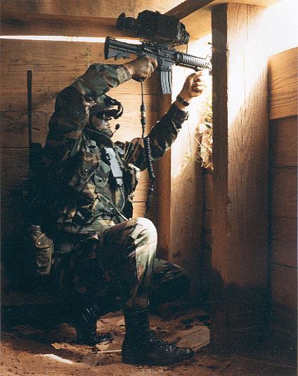 landwarrior1.jpg