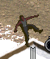 fallnich.jpg