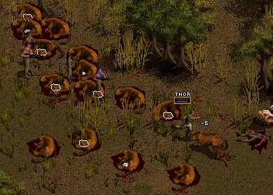 screen002.jpg