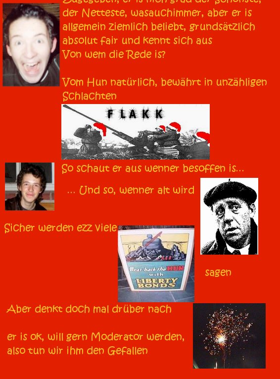 wahlplakat.jpg