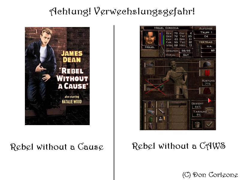 bild1.jpg