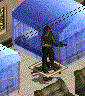 klatschbumm.gif