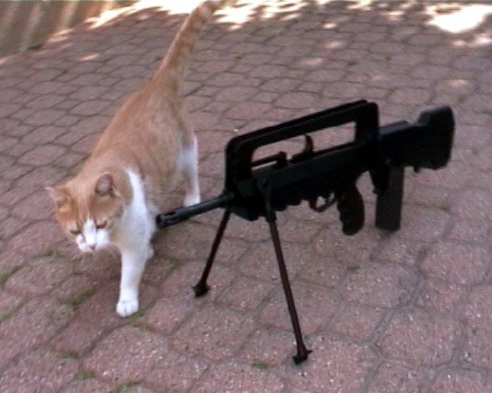 Famas.jpg
