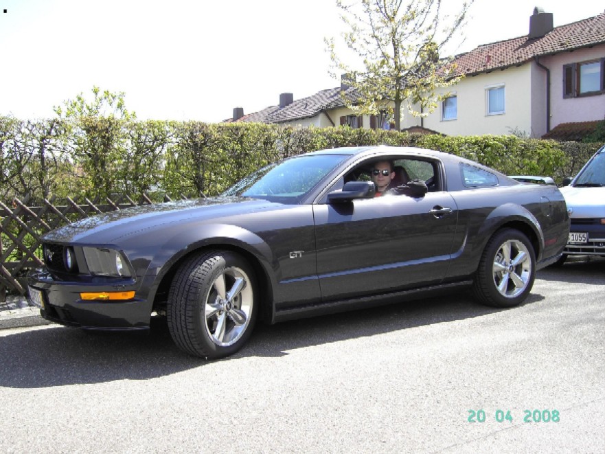 Kopie von mustangalex6wn2.jpg