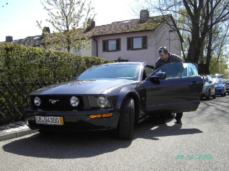 Kopie von mustangpapala8.jpg