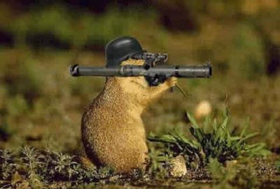 bundeshoernchen[1].jpg