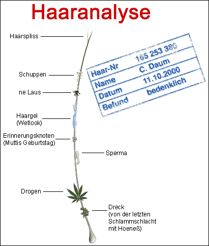 haarvond.gif